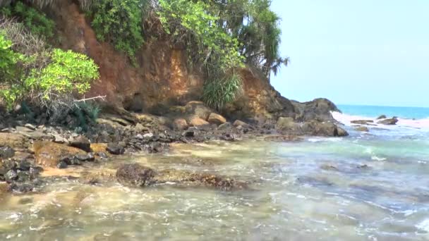 Tropical coastline ,Sri Lanka. — Stock Video