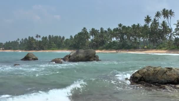 Tropische kust, sri lanka. — Stockvideo