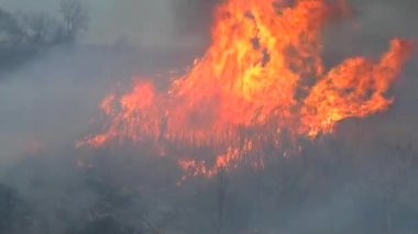 Kuru Çimen Tarlasında Yangın.