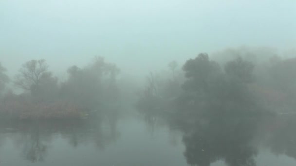 Утро туманом над рекой — стоковое видео