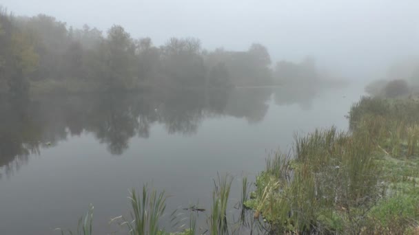 Ochtend met mist over de rivier — Stockvideo