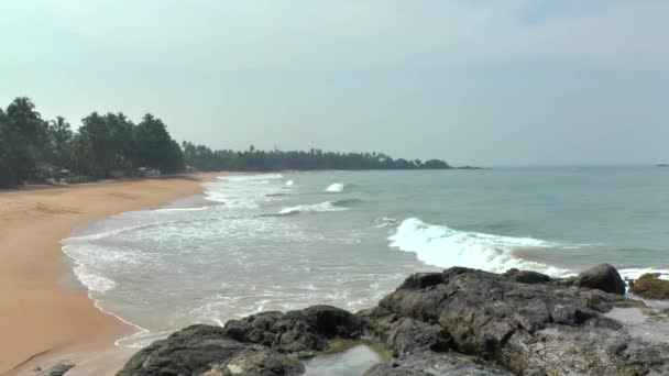 Tropikal kıyı şeridi, sri lanka. — Stok video