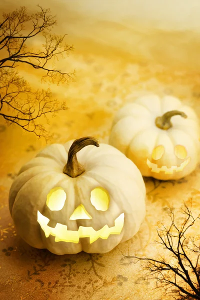 Halloween pompoenen — Stockfoto