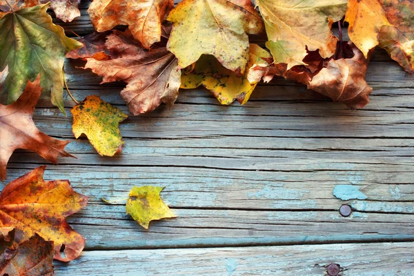 Herfstbladeren — Stockfoto