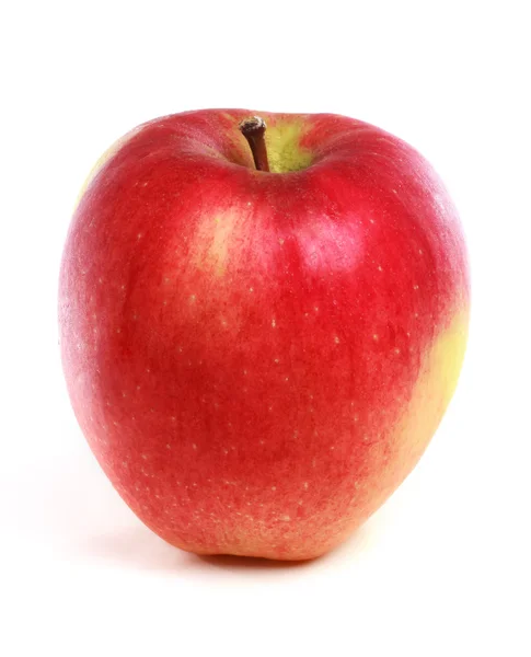 Rött äpple — Stockfoto