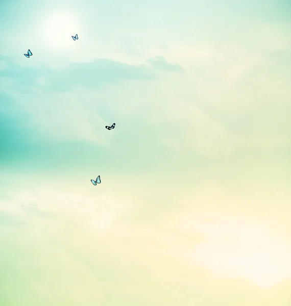 Butterflies in the sky — Stock Photo, Image