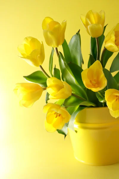 Gele tulpen op een gele achtergrond — Stockfoto