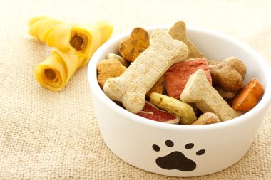 köpek maması kase