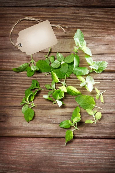 Menta fresca en mesa rústica con etiqueta — Foto de Stock