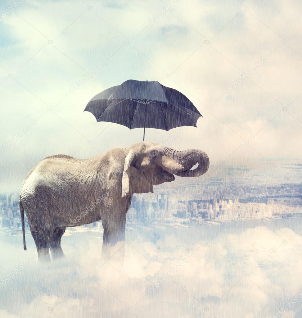 Elephant standing on the clouds
