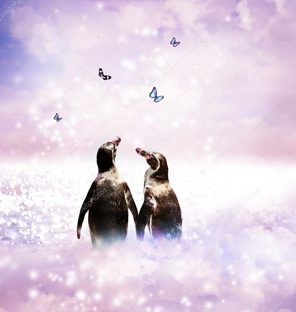 Penguin couple in fantasy landscape