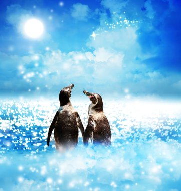 Penguen kaç gece fantezi peyzaj içinde