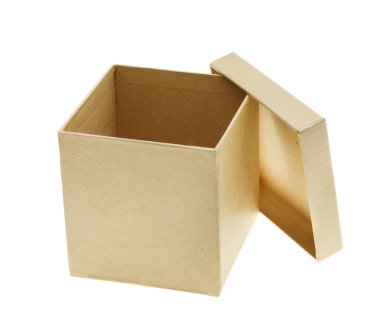 karton kutu