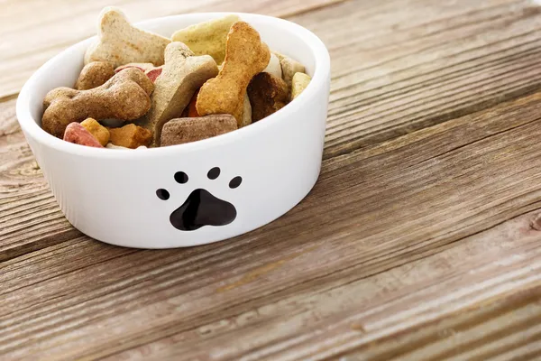 Cibo per cani in ciotola — Foto Stock