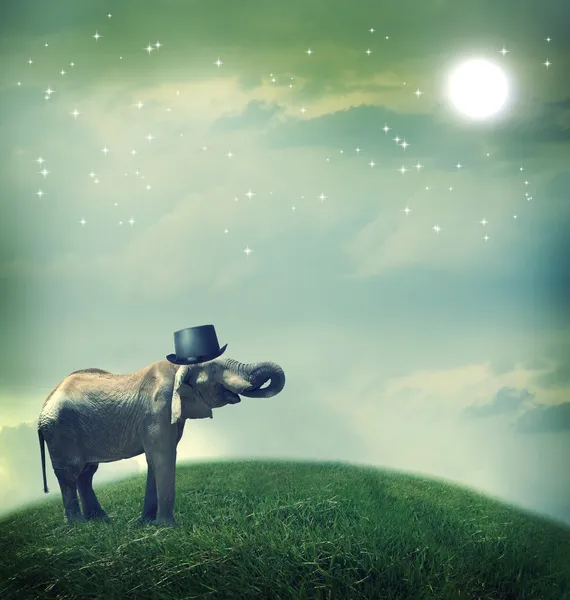 Olifant met hoge hoed op fantasie landschap — Stockfoto