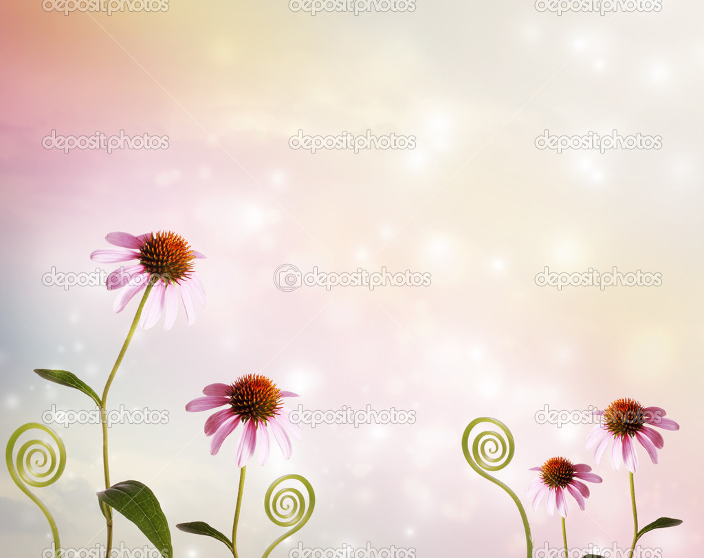Echinacea and plant tendrils