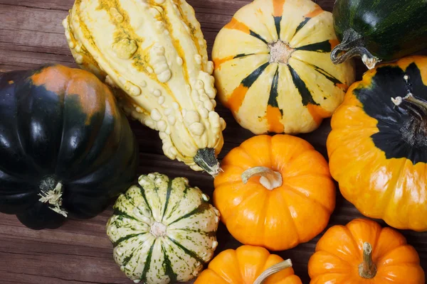 Assorted pumpkins and squashes — Stock Photo, Image
