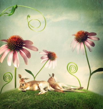Kangaroo couples napping under flowers clipart
