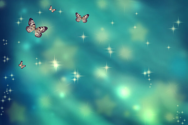 Butterflies on teal background