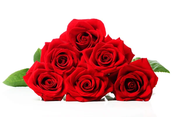 Hermosas rosas rojas — Foto de Stock