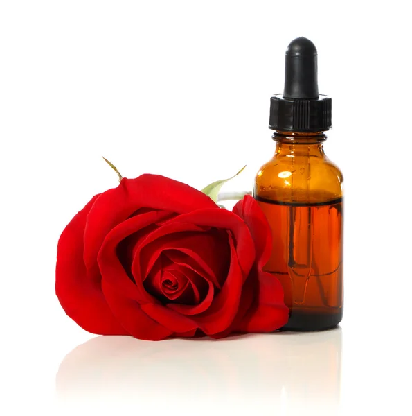 Dropper bottle with red rose Stock Picture