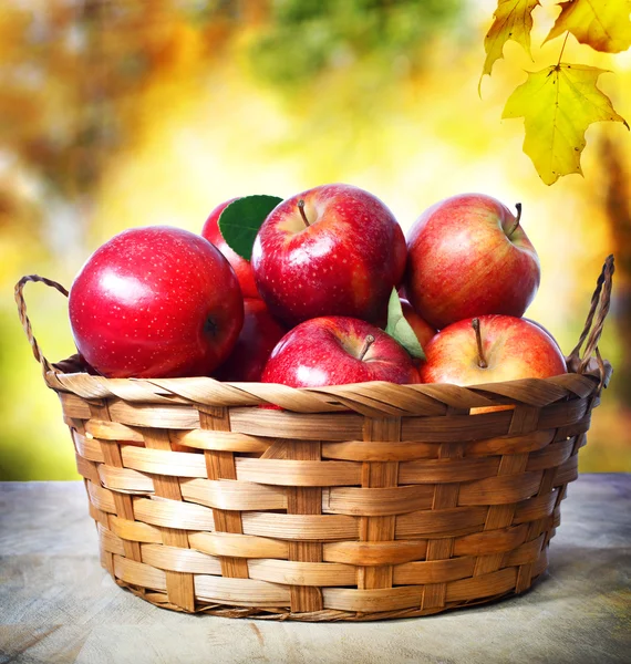 Pommes fraîches dans le panier — Photo