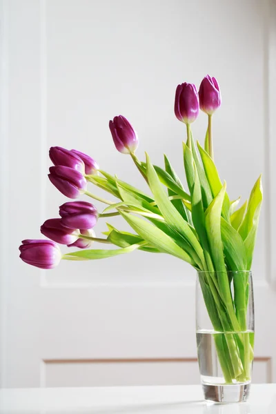 Beautiful purple tulips — Stock Photo, Image