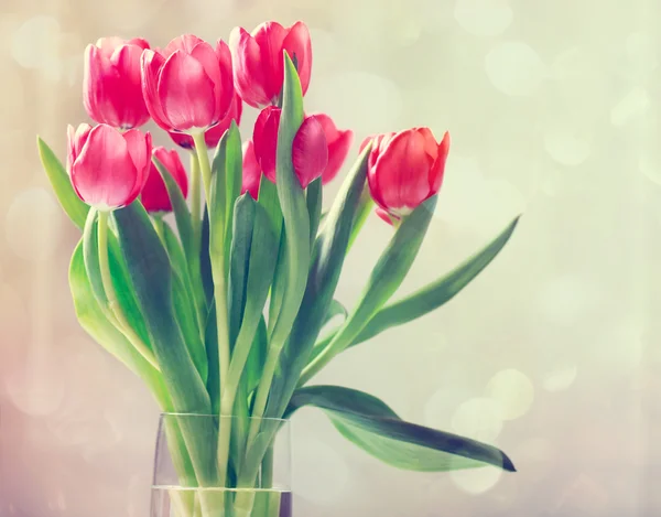 Red tulips in vintage style — Stock Photo, Image