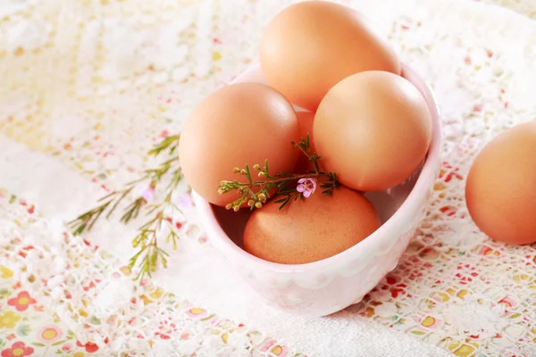 Brown Eggs in a porcelain bowl — Stock Photo, Image