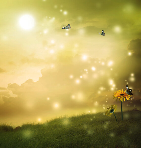 Желтые герберы с бабочками на сказочном холме
