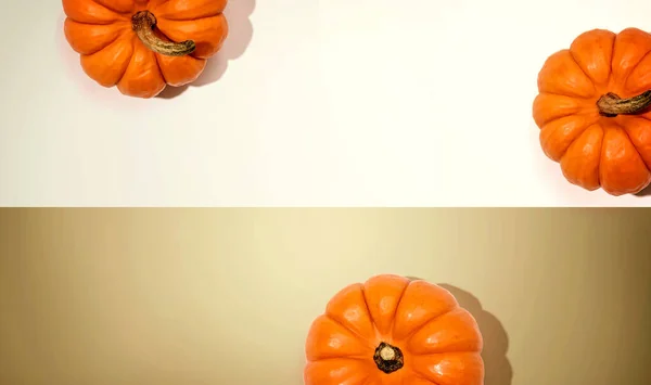 Citrouilles orange d'automne vue aérienne — Photo