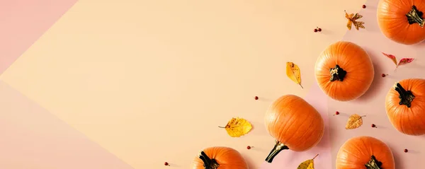 秋天的南瓜，叶子色彩艳丽 — 图库照片