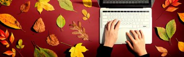 Autumn dizüstü bilgisayar kullanan biriyle birlikte ayrılıyor