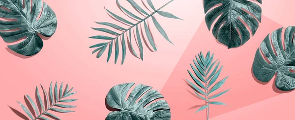 Tropische palmbladeren van bovenaf — Stockfoto