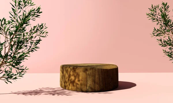 Wooden Podium Tree Foliage Render — Stockfoto