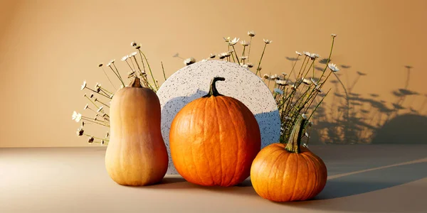 Autumn Pumpkins Flowers Harvest Thanksgiving Theme Render — Zdjęcie stockowe