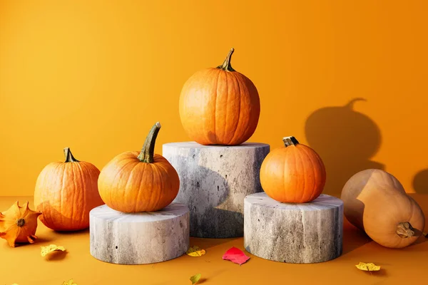 Autumn pumpkins on the podiums - Harvest and Thanksgiving theme - 3d render