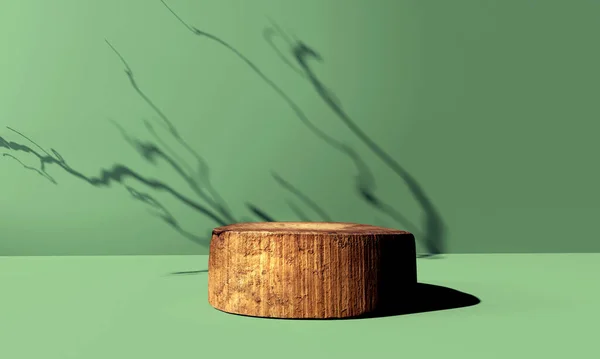 Wooden Podium Shadow Tree Branch Render — Stockfoto