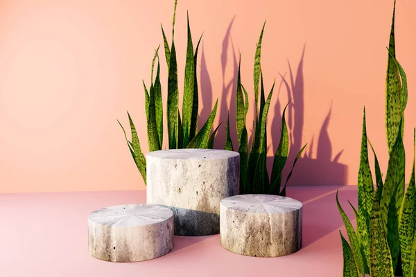 Snake Plant White Stone Podiums Render — Foto de Stock