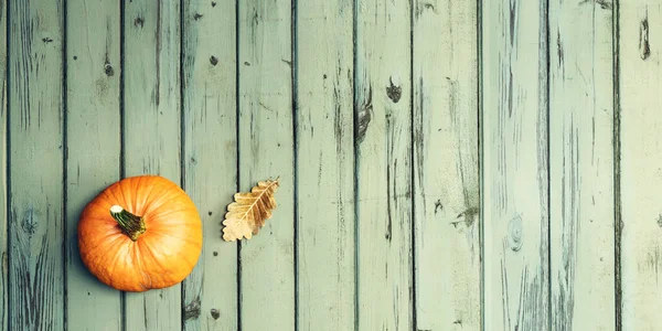 Autumn pumpkin - Harvest and Thanksgiving theme - 3d render