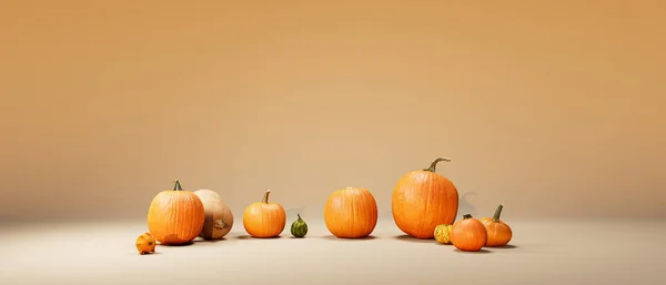 Autumn Pumpkins Harvest Thanksgiving Theme Render — Zdjęcie stockowe