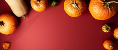 Autumn pumpkins - Harvest and Thanksgiving theme - 3d render