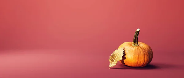 Autumn pumpkin with a leaf - Harvest and Thanksgiving theme - 3d render