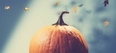 Close up image of Autumn pumpkin - 3D render