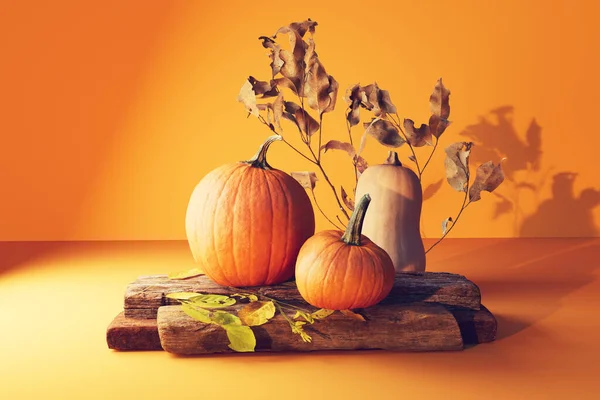 Autumn pumpkins - Harvest and Thanksgiving theme - 3d render
