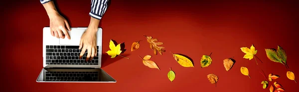 Autumn leaves with person using a laptop computer from above