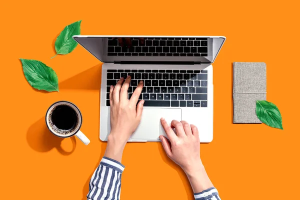 Person using a laptop computer with green leaves from above