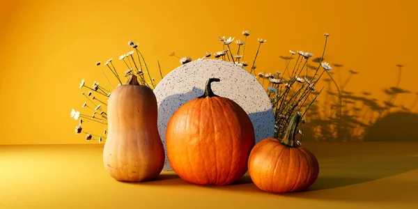 Autumn pumpkins with flowers - Harvest and Thanksgiving theme - 3d render