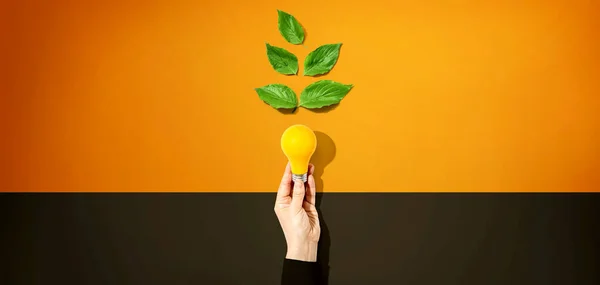 Person Holding Light Bulbs Green Leaves — Stock Photo, Image
