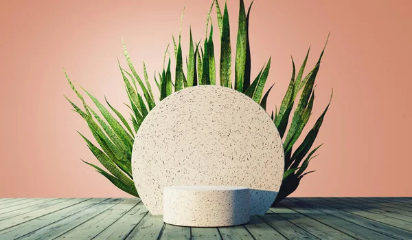 Snake plant with white stone podium - 3D render